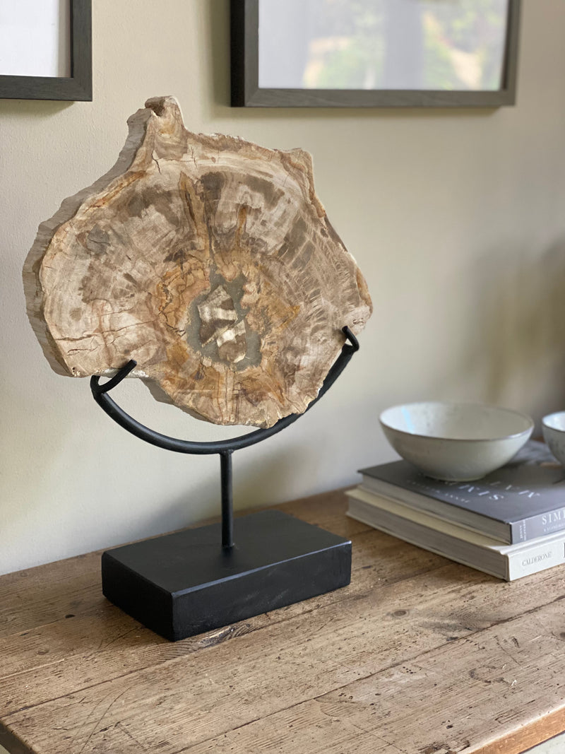 Large Petrified wood Sculpture on stand