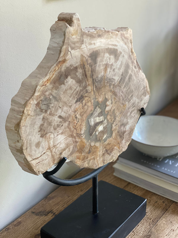Large Petrified wood Sculpture on stand
