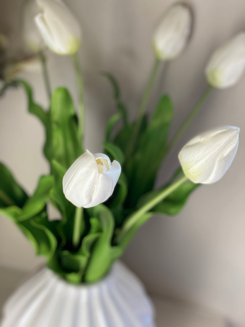Faux White Closed Tulip