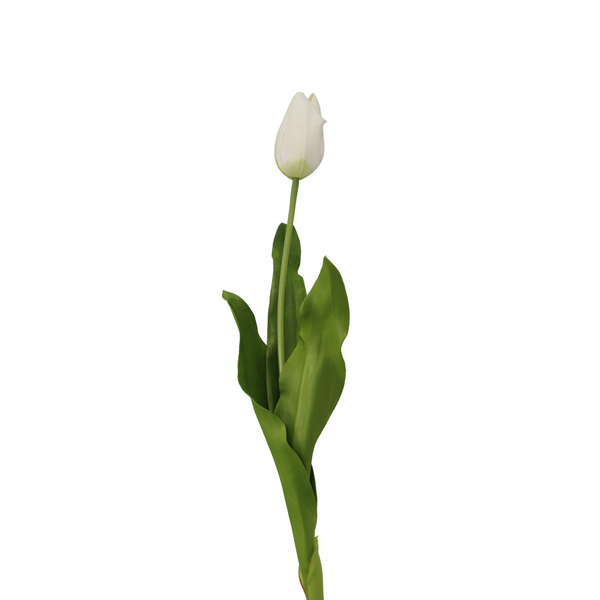 Faux White Closed Tulip