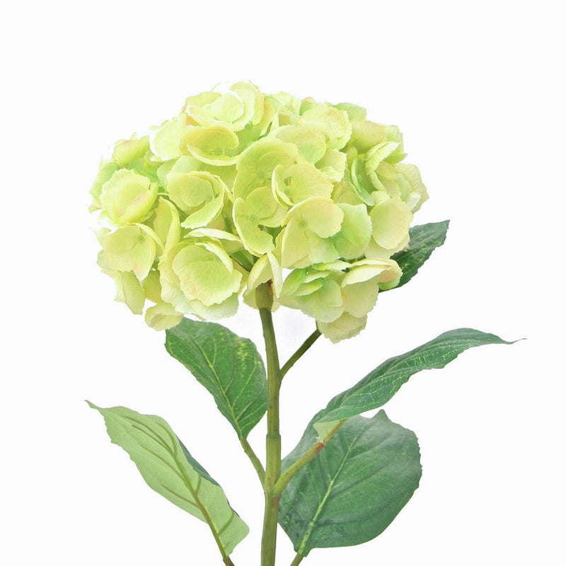 Faux Green Mophead Hydrangea